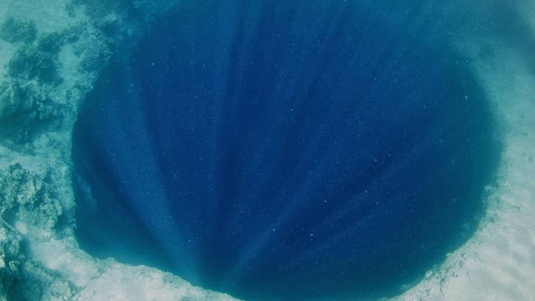 Dünyanın en derin noktası Mariana Çukuru: Yaklaşık 11 bin metre - Resim: 18